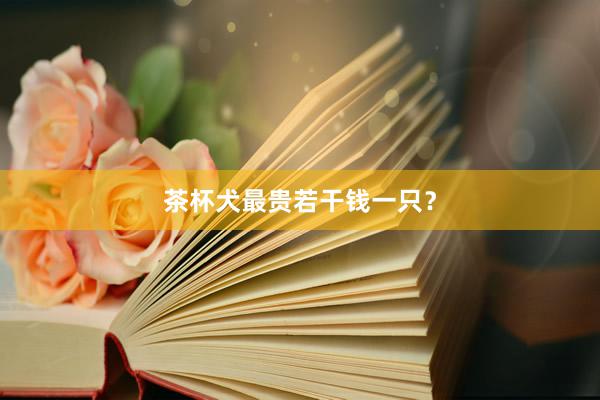 茶杯犬最贵若干钱一只？