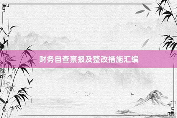 财务自查禀报及整改措施汇编